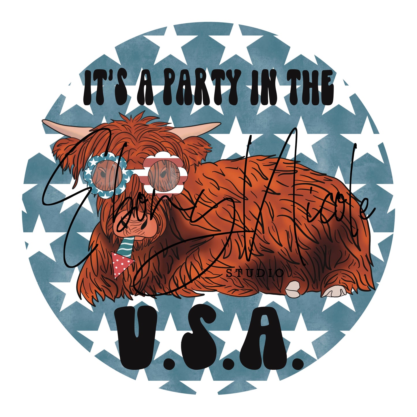 It’s A Party In The USA PNG