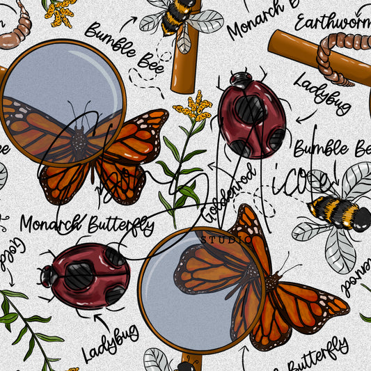 Social Butterfly