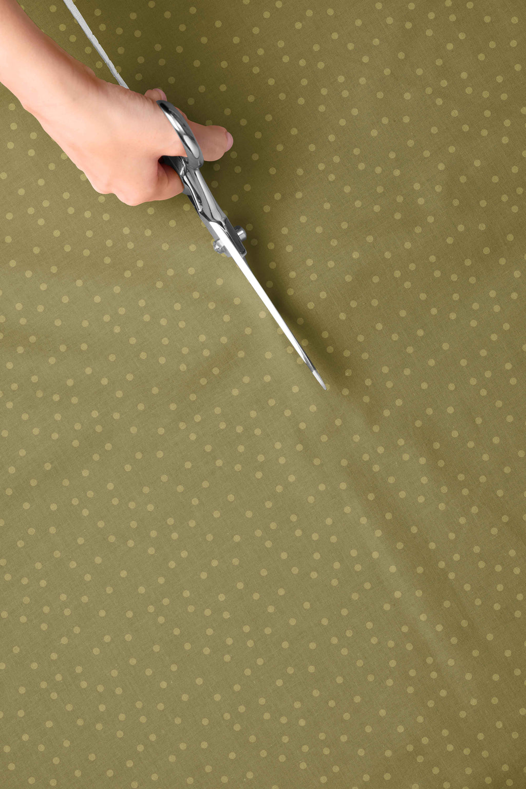 Hummingbird Polka Dots