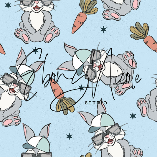 Cool Little Rabbit