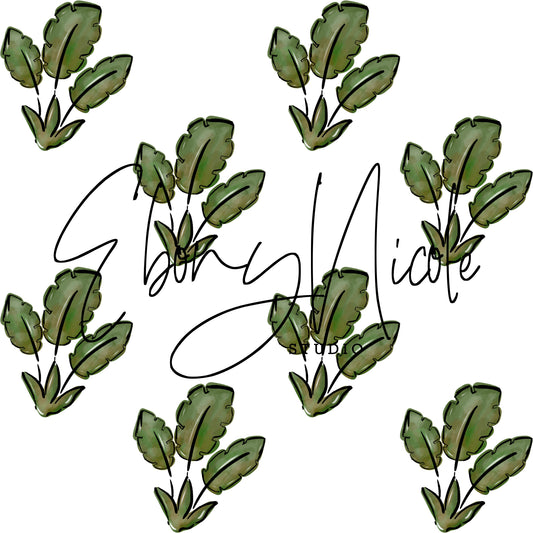 Leaves