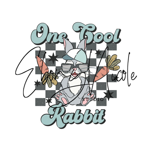 One Cool Rabbit PNG